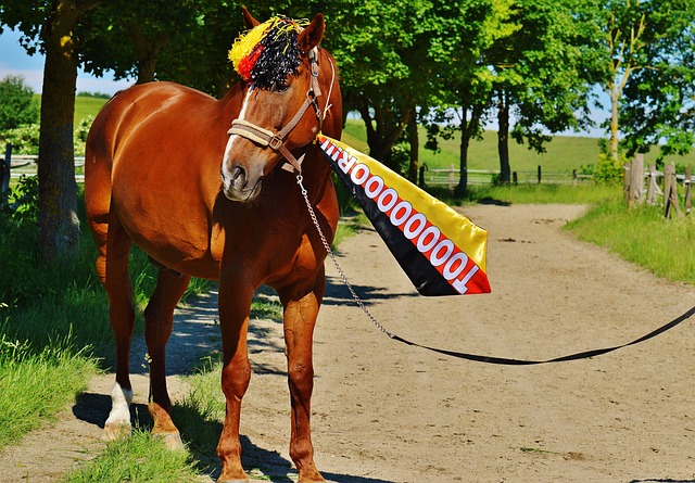 斯普利特：年轻球员得养成赢球心态，认识到每个回合都很关键